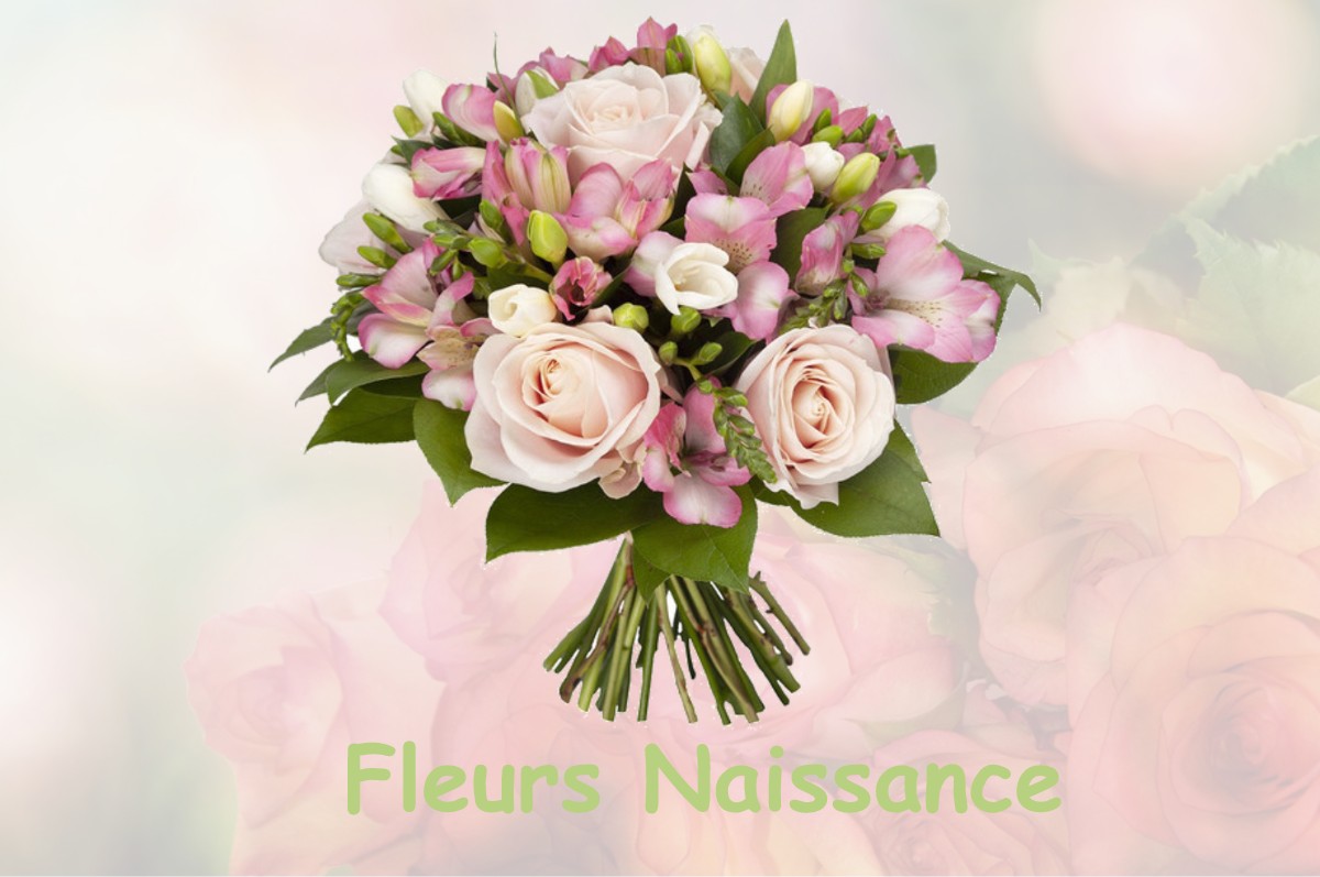 fleurs naissance MESNIL-LA-COMTESSE