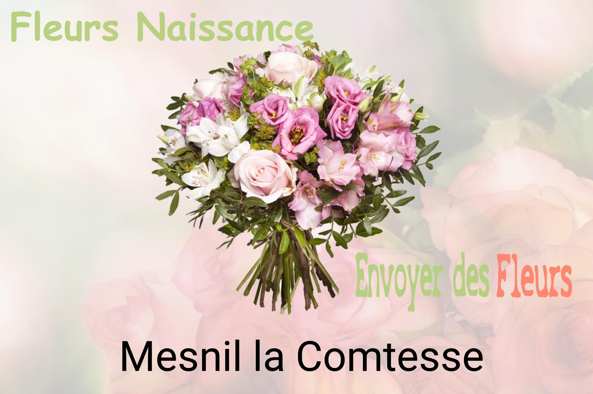 Bouquet de fleurs de naissance livré à Mesnil-la-Comtesse